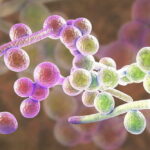 O fluorze prawie wszystko